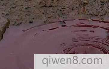 blob.jpg