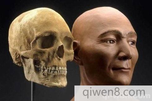 490×326
