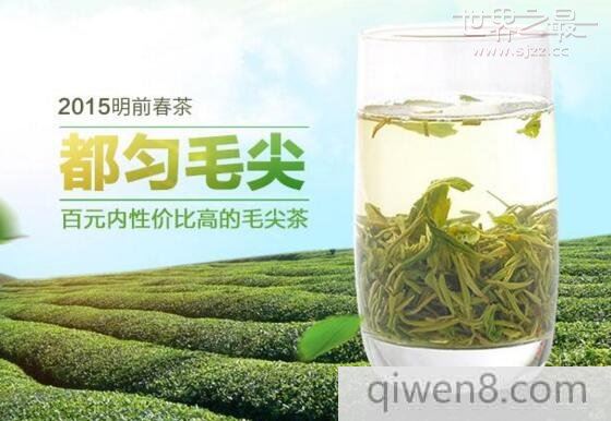中國十大名茶,大紅袍為茶類之最(號稱茶中之王)