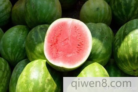 西瓜也分公母：西瓜公母哪個好吃（挑瓜技巧）