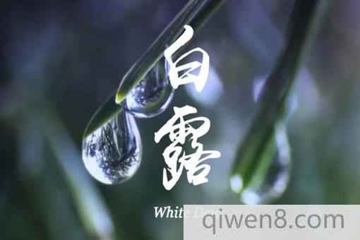 2018白露是哪一天?白露節氣要注意什么?