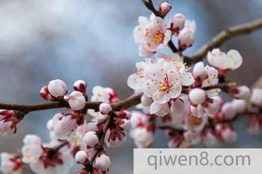 農歷的十二個月分別叫什么?為什么有這樣的別稱?