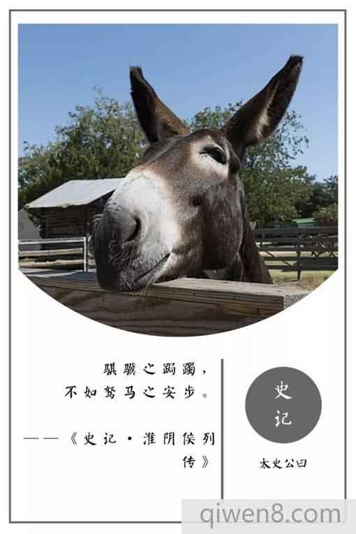 史記經典名言摘錄 史記20句名言合集