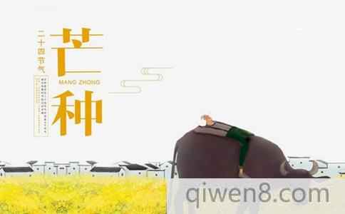 2018芒種節氣怎么養生?芒種節氣需要注意什么養生食譜介紹
