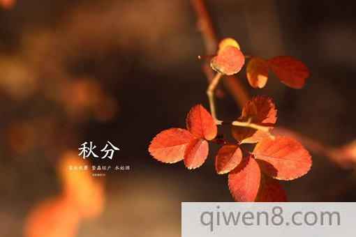 秋分是什么意思?秋分時節應該注意哪些問題?