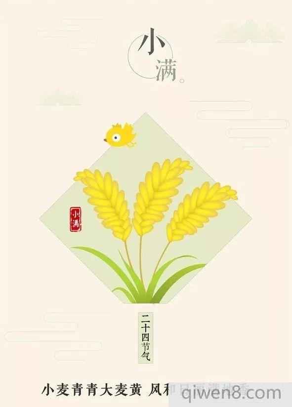 小滿節氣的由來 小滿養生大全