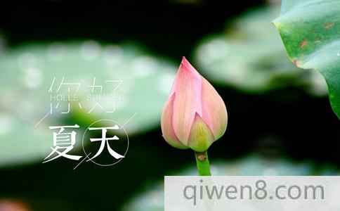 夏至是什么時候?夏至吃什么好?