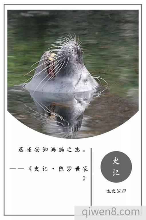 史記經典名言摘錄 史記20句名言合集