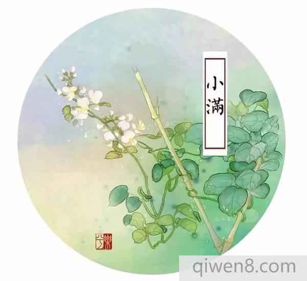 小滿節氣的由來 小滿養生大全