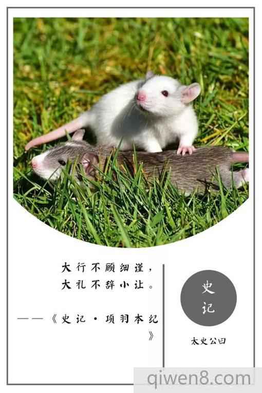 史記經典名言摘錄 史記20句名言合集