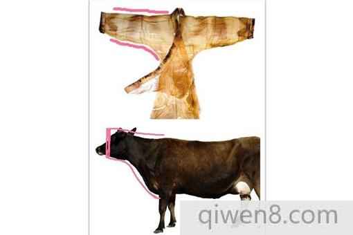 古代漢服中的“琵琶袖”有著怎樣的特點?