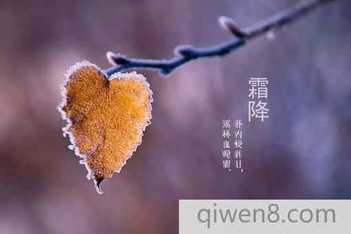 2018霜降是哪一天什么意思?霜降節氣需要注意什么?
