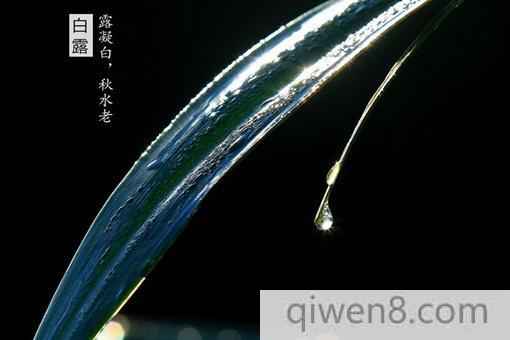 2018白露是哪一天?白露節氣要注意什么?