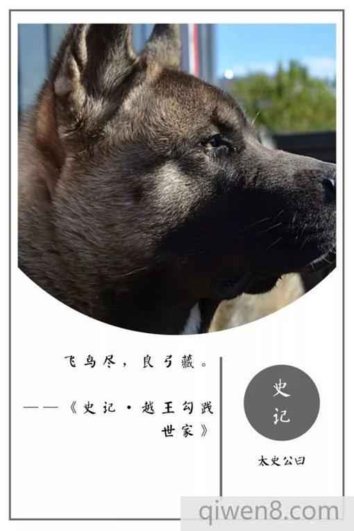 史記經典名言摘錄 史記20句名言合集