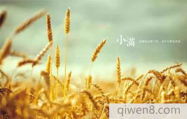 小滿節氣的由來 小滿養生大全