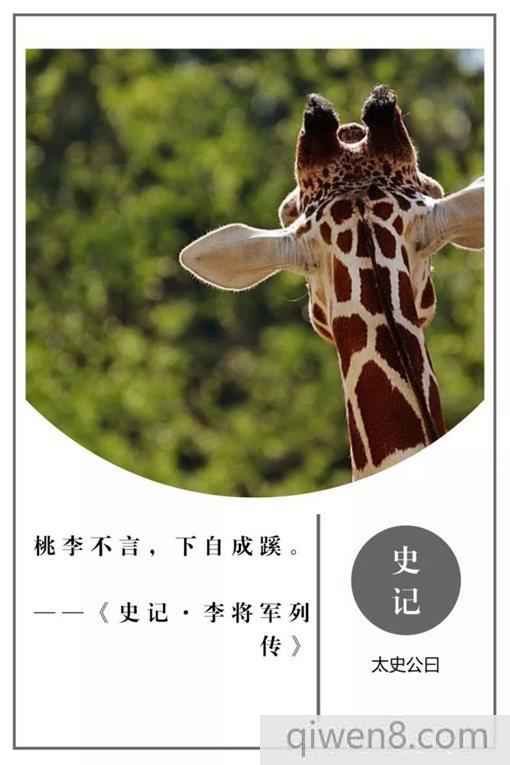 史記經典名言摘錄 史記20句名言合集
