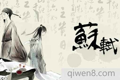 蘇軾的詩詞精選 蘇軾經典七首詩句解析