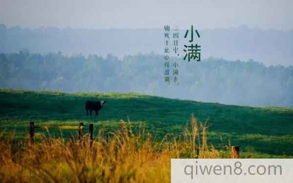 小滿節氣的由來 小滿養生大全