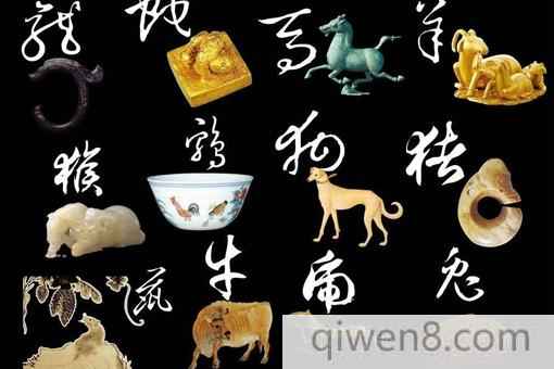 來龍去脈是什么生肖答案揭秘