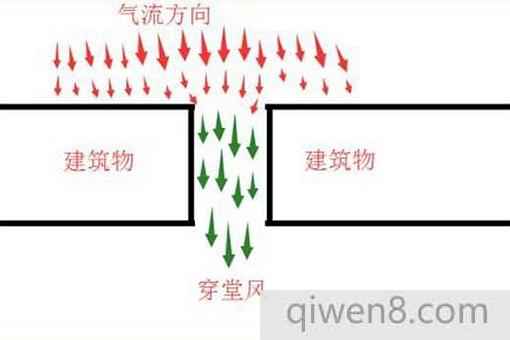 睡覺最怕穿堂風,洗澡最怕橋心水意思揭秘