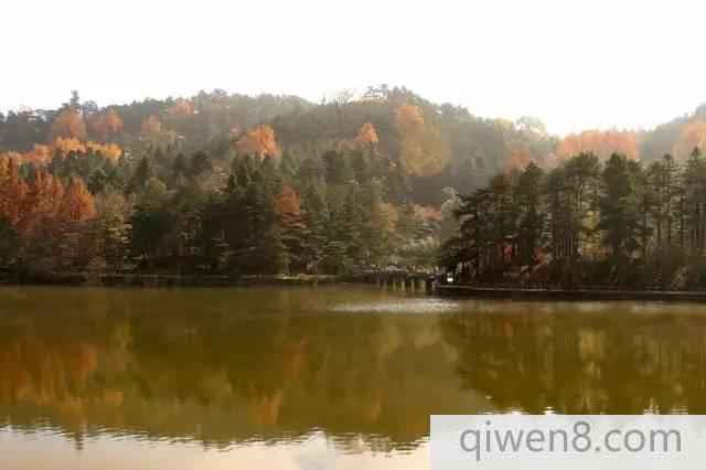 梵凈山申遺成功,全中國53個世界遺產還有這些!