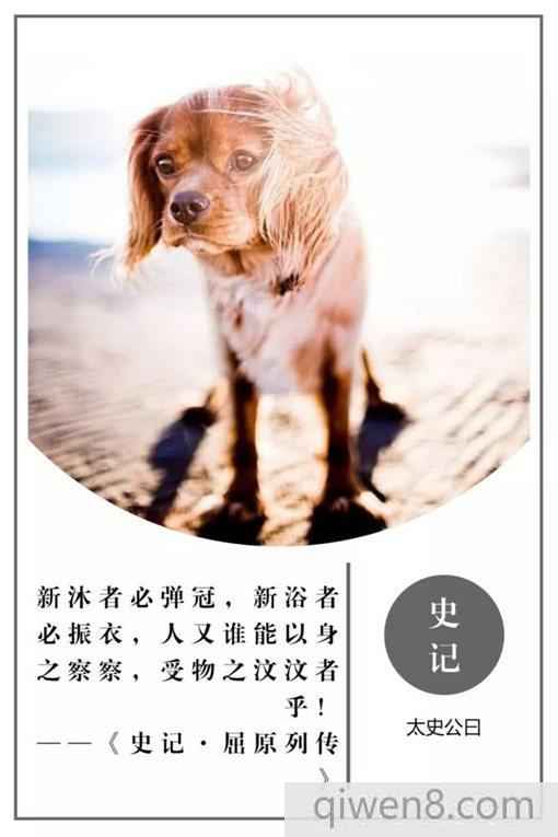 史記經典名言摘錄 史記20句名言合集