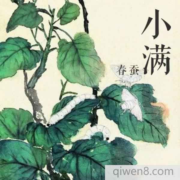 小滿節氣的由來 小滿養生大全