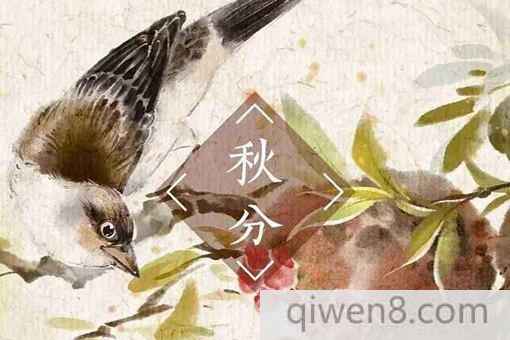 秋分是什么意思?秋分時節應該注意哪些問題?