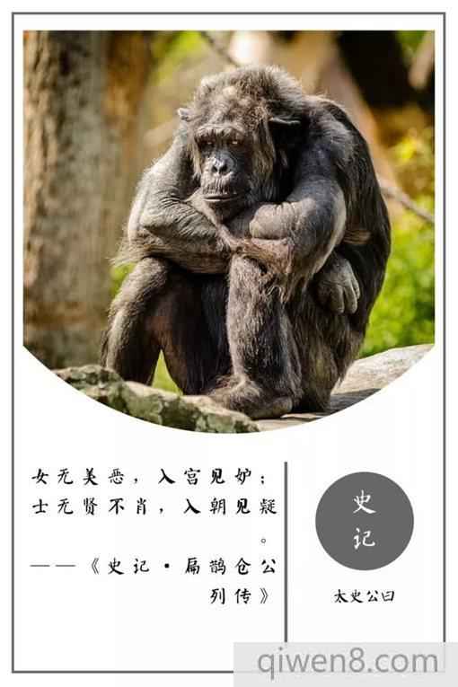 史記經典名言摘錄 史記20句名言合集