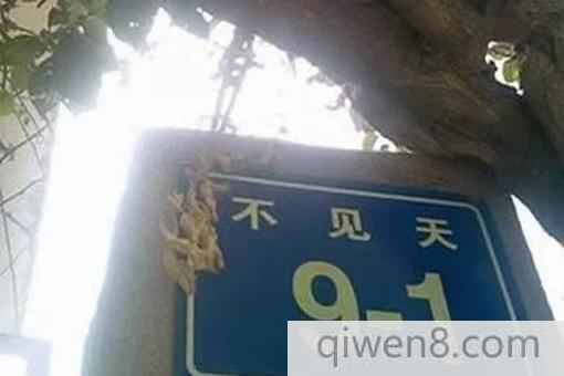 2018中國最奇葩地名總匯 
