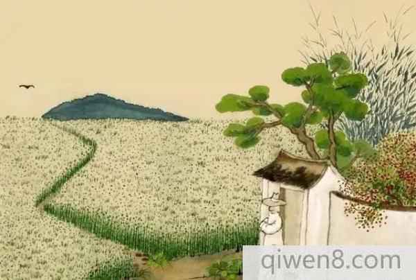 小滿節氣的由來 小滿養生大全