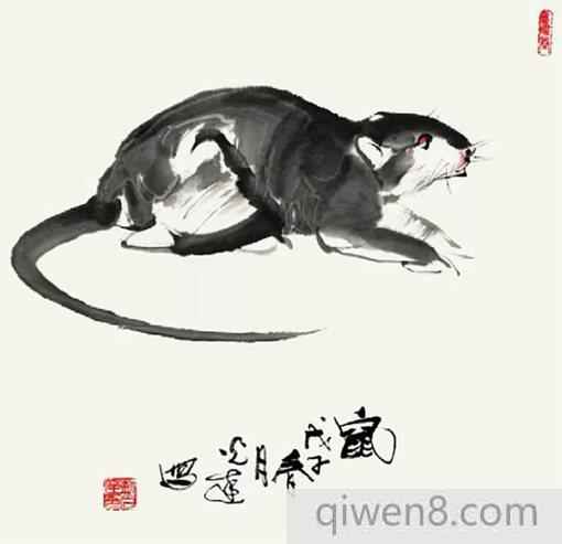 形容十二生肖的古詩集合 十二生肖詩句資料大全
