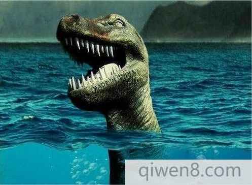 南非海怪