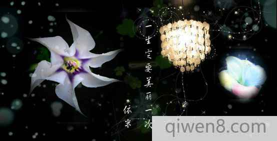依米花
