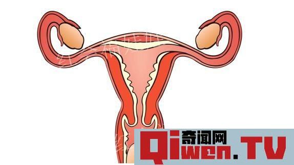 人類進化失敗的9大器官 人體最沒用的器官揭秘 第八個亮了