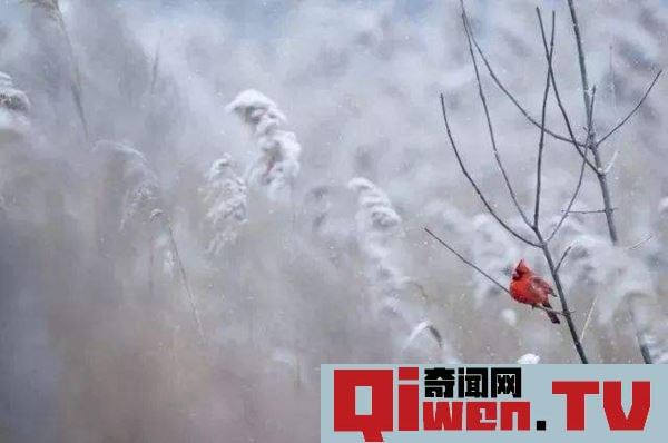 立冬的下一個節氣是什么 小雪應該如何養生 防寒保暖