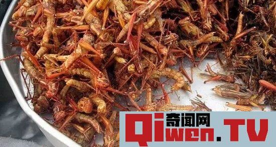 各國不忍直視的暗黑料理 看得讓人尖叫