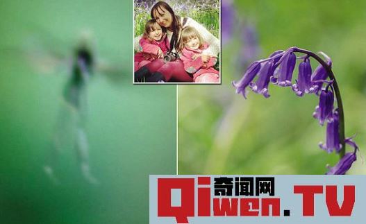 圖 真的有人拍到了小精靈 鑒定專家稱是真的 自帶光環