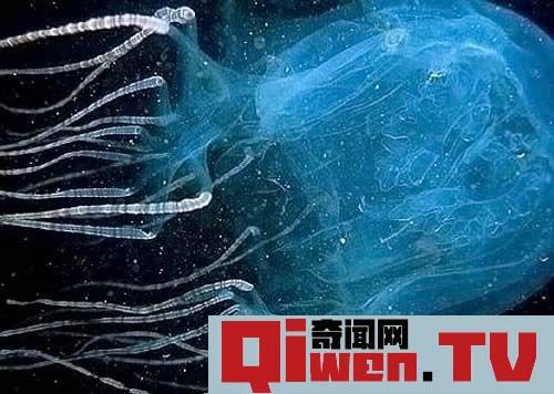 動物界十大致命毒物 遇到趕緊遠離