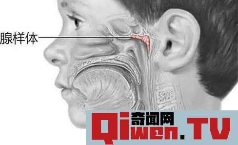 人類進化失敗的9大器官 人體最沒用的器官揭秘 第八個亮了