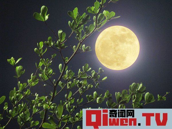 超級月亮2019什么時候 超級月亮是怎么形成的
