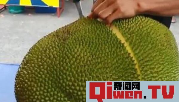 無花果可以和菠蘿蜜一起吃嗎 可以一起吃不會影響身體