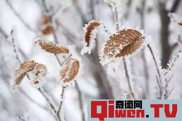 立冬的下一個節氣是什么 小雪應該如何養生 防寒保暖