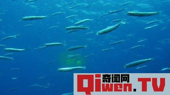 NASA研發宇宙飛船 證明平行宇宙真實存在