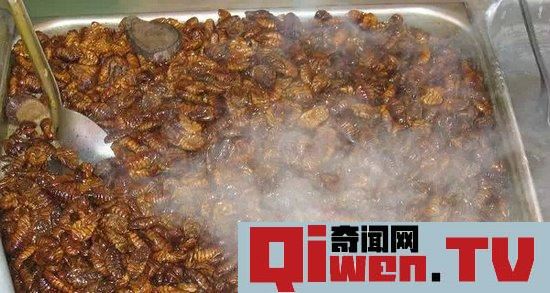 各國不忍直視的暗黑料理 看得讓人尖叫