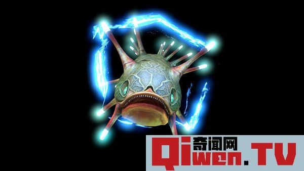 電鰻有天敵嗎 電鰻是否可以電死人 300-800伏電量