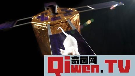 猜想 移民外星多少人合適