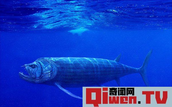 史前海洋十大霸主 旋齒鯊超強咬合力海洋中稱霸