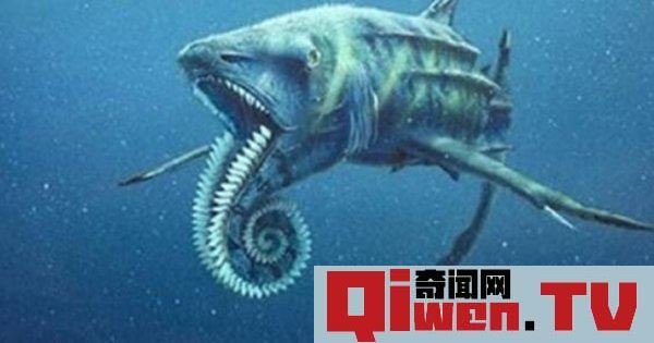 史前海洋十大霸主 旋齒鯊超強咬合力海洋中稱霸