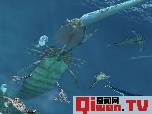 史前海洋十大霸主 旋齒鯊超強咬合力海洋中稱霸